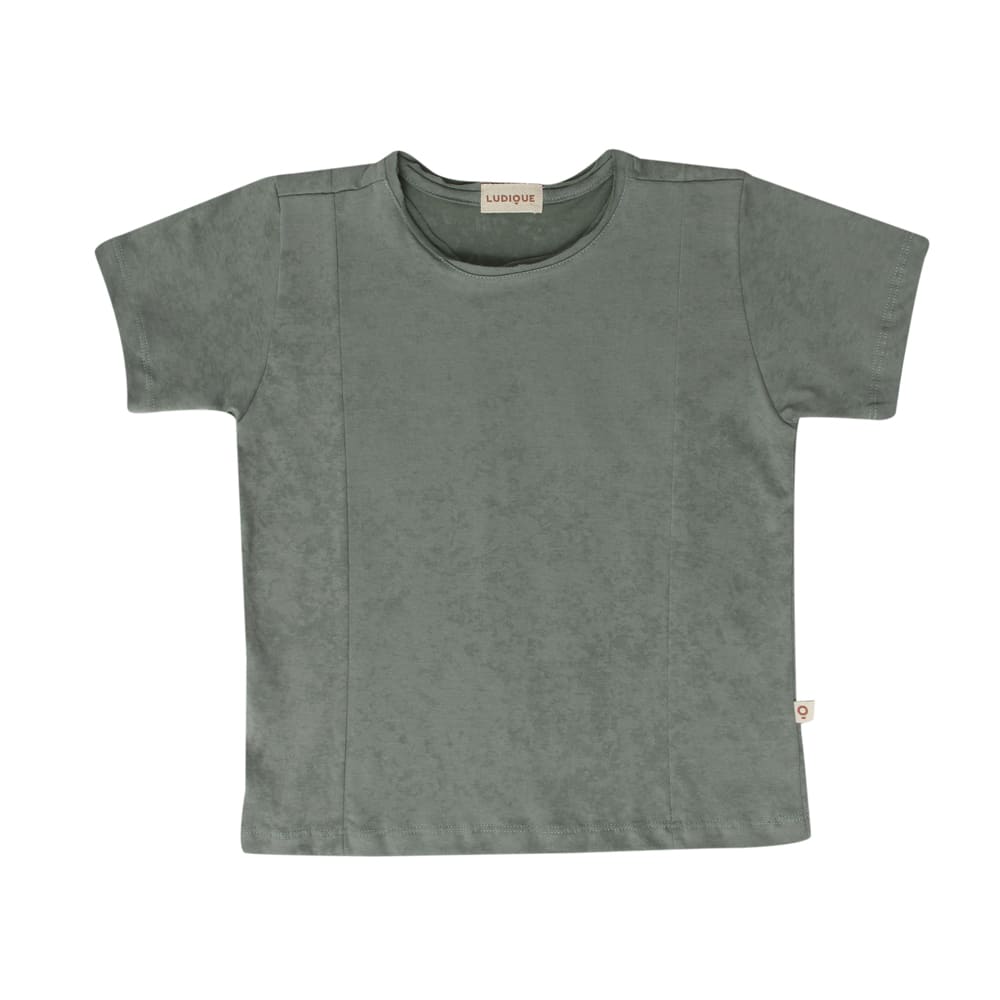 Camiseta-Infantil-Ludique-Verde-Musgo--2-ao-10---2T22-
